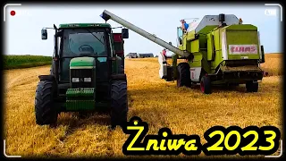 🇵🇱 ŻNIWA 2023 🔥CLAAS DOMINATOR 88S 💪 JOHN DEERE 6800 🔥FOTON LOVOL 504 💪