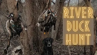 Duck Hunting Public Land // MISSISSIPPI RIVER