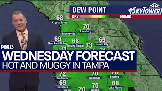 Tampa weather | hot, humid with some clouds May 22, 2024