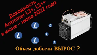 ANTMINER L3+, L3++ доходность в июне - июле 2022 года.