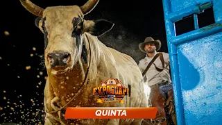 Rodeio da EXPO GUAPI 2024 / Guapirama - PR (QUINTA / MELHORES MOMENTOS)