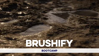 Brushify: Bootcamp -  Enabling Nanite (Landscape Displacement, Static Meshes & Foliage)