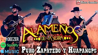 Los Alameños De La Sierra Mix 2024 Lo Más Chingon - Puros Zapatedo y Huapangos mix