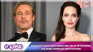 Brad Pitt Accuses Angelina Jolie Of Ruining His Wine Company Reputation