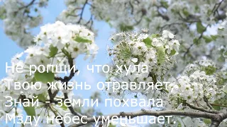 Стихотворение  Николая Гурьянова " Не ропщи "