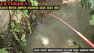 YA AMPUN.!! MANCING DI SELOKAN DI SAMBAR IKAN GEDE GEDE SADIS MINTA AMPUN || SIDAT MONSTERNYA NONGOL