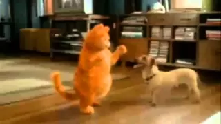 garfield bailando cancion camaleon