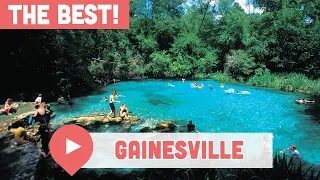 Best Things to Do in Gainesville, FL