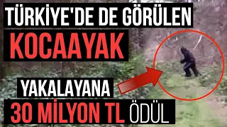 TÜRKİYE'DE DE GÖRÜLEN KOCAAYAK EFSANESİ! YAKALAYANA 30 MİLYON TL ÖDÜL