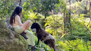 A Calming Morning Routine of Foraging in the Food Forest and Caring for Animals