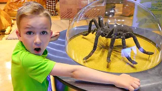 व्लाद और निकी बच्चों के संग्रहालय में खेलते हैं - बच्चों के लिए संग्रह वीडियो