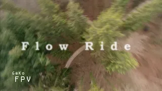 Flow Ride - FPV Freestyle - Light 5 Inch Quad