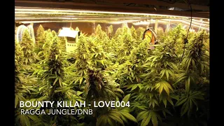 Bounty Killah - Ragga Jungle/DNB - LOVE004