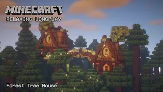 Minecraft Relaxing Longplay - Pine Forest House - Cozy Cottage House (No Commentary) 1.19