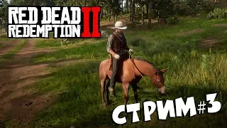 Red Dead Redemption 2 СТРИМ #3 ( Xbox One X )