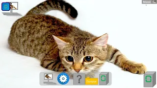 О нет Только не это Та самая CAT OS 1.0!!!!!!!!!