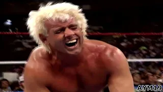 Royal Rumble Match 1992 Highlights