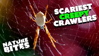 Most Horrifying Insect Moments | The Secret Life of the Zoo | Nature Bites