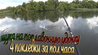 Осенняя рыбалка на живца! Попали на ВЫХОД ЩУКИ, на реке "Сосна"!