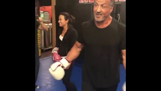 Demi Lovato vs Sylvester Stallone boxing