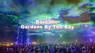 Borealis at the Supertree Grove | Gardens By The Bay | Singapore
