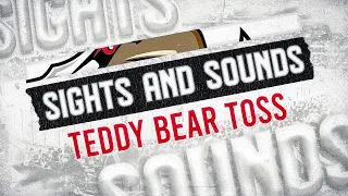 Sights and Sounds | 2022 Griffins Teddy Bear Toss