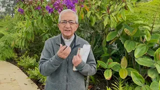 Evangelio de hoy Jueves 31 de Agosto de 2023 Padre Efraín Arquidiócesis de Manizales