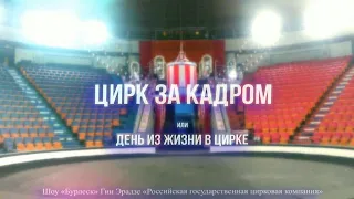 Цирк за кадром или День из жизни в цирке 2021