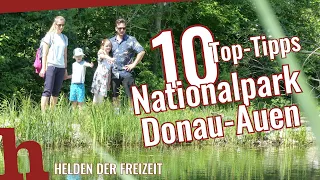 Donau-Auen: 10 Tipps für einen Ausflug im Nationalpark