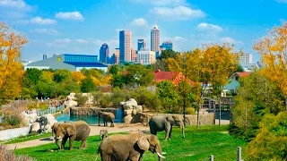 Top Tourist Attractions in Indianapolis (Indiana) - Travel Guide