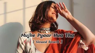 Mujhe Pyar Hua Tha [ Slowed Reverb ] Lofi Song #lofi #music #newsong @lofilovers4107
