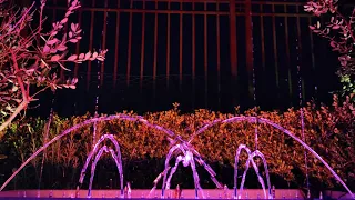 Homemade Dancing Fountain Test Show "Leave The Door Open" (4K 60FPS)