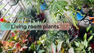 Indoor plants in living room!My beautiful houseplants & how I placed them! #livingroom #indoorplants