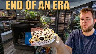 EPIC 100+ REPTILE ROOM TOUR May 2024! | A heartfelt GOODBYE