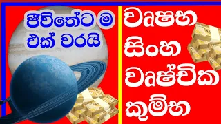 2024 ලග්න පලාඵල , ග්‍රහමාරු , Planet transit , All astrology signs ,# StarGuider ,