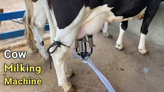 Automatic Milking Machine | New Business Ideas