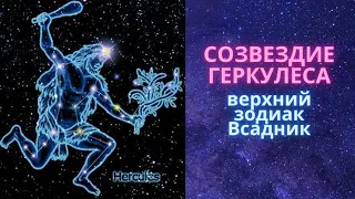 Верхний зодиак «Всадник»#змееносец#пегас