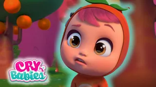 CRY BABIES Long Video SEASON 3 | Full Episodes MAGIC TEARS | Kitoons Cartoons for Kids