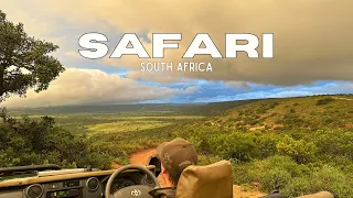 South Africa Safari Travel Vlog 2024 | Amakhala Game Reserve | Hillsnek Review