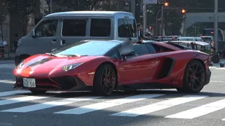 超爆音‼️ブリリアント加速サウンド‼️ハルデンベルクさんの ランボルギーニ アヴェンタドールSVロードスター  Lamborghini Aventador LP750-4 SV Roadstar