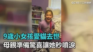 9歲小女孩愛貓去世　母親準備驚喜讓她秒噴淚｜三立新聞網SETN.com