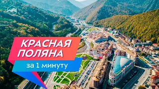 Красная Поляна за 1 минуту. Что посмотреть летом и куда поехать зимой