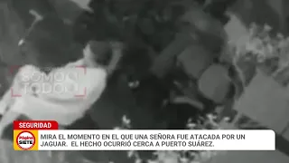 mira el momento en el que una señora fue atacada por un jaguar