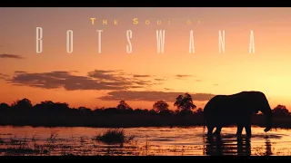 The Soul of Botswana - Trailer