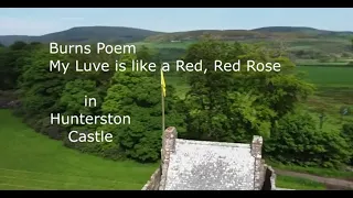 Robert Burns  My Luve is like a red, red rose.