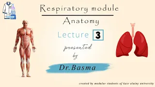3- Respiratory ( Trachea And Bronchi ) Dr Basma Anatomy