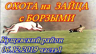 Кущевские испытания борзых 06 12 2019г  часть1