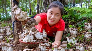 Harvest Chicken Thigh Mushrooms Goes to the market sell | Ella Daily Life