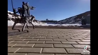 robot dog with a gun 🤔