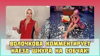 Волочкова комментирует наезд Шнура на Собчак #волочкова #собчак #шнуров